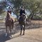 Exploring Central California from the Back of a Horse