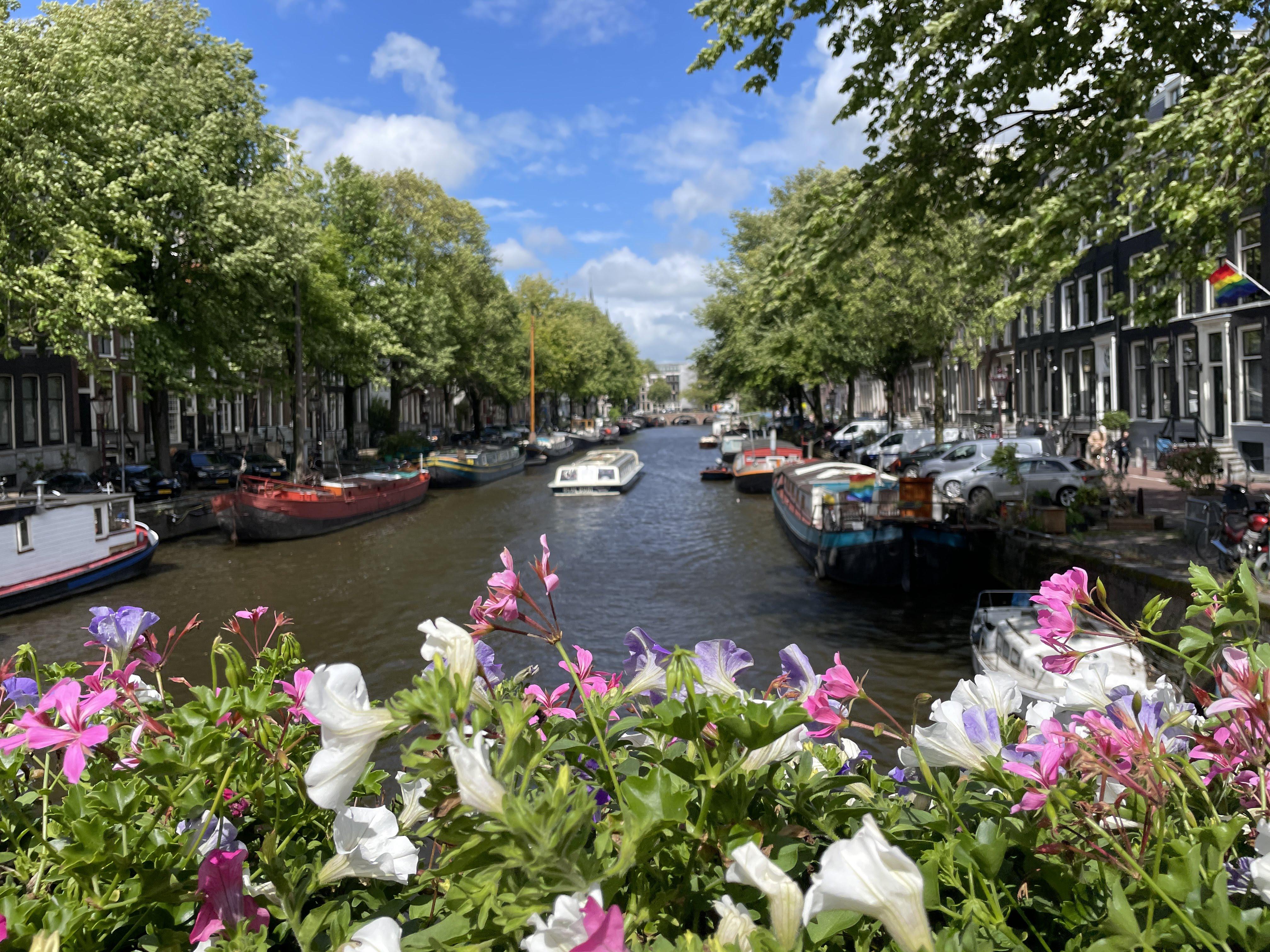 Featured image of post All Things Amsterdam