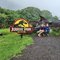 Jurassic Hawaii