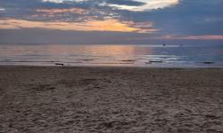 Featured image of post A Vacation From Our Vacation