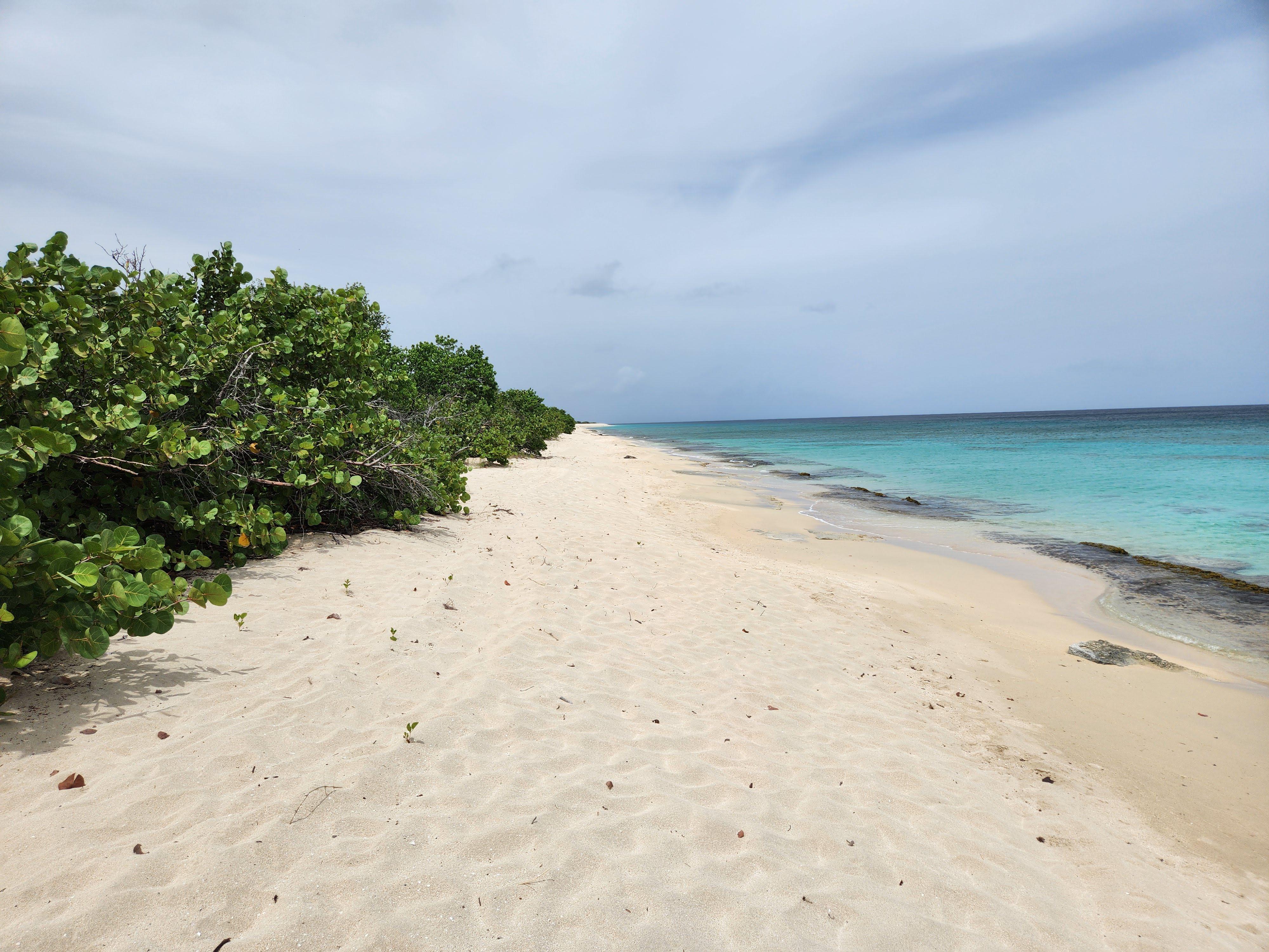 Featured image of post Sandy Point