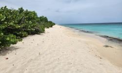 Featured image of post Sandy Point