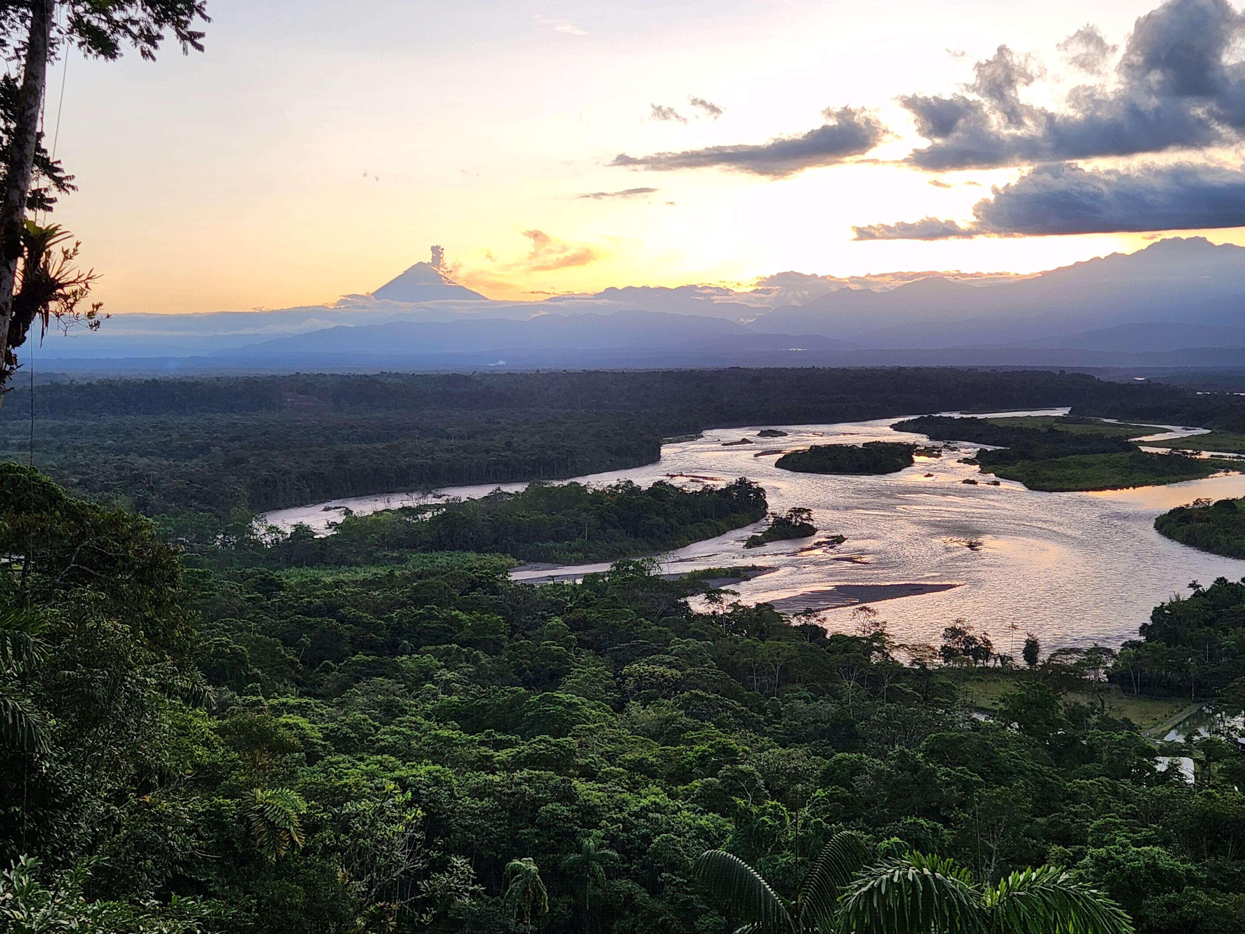 Featured image of post Amazon Lite: Day 1