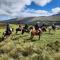 Horseback Riding at the Base of Cotopaxi